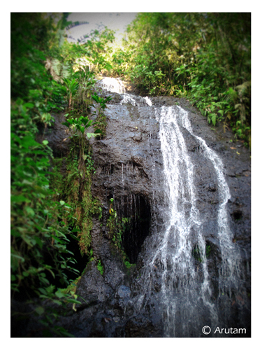 cascade_arutam