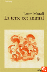 TERRE ANIMAL