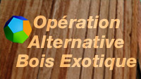 bois_exotique