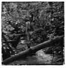 chasse_jungle