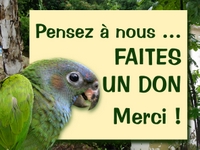 faites_un_don_zerodeforestation